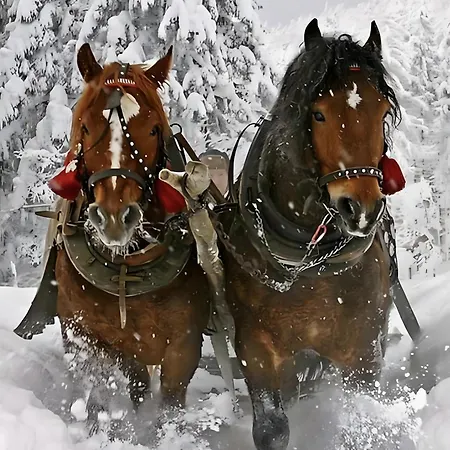Landlhof Дом отдыха Рамзау